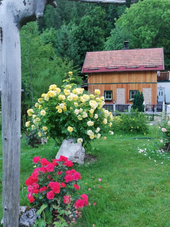 Georges Rast Villa Altaussee Dış mekan fotoğraf