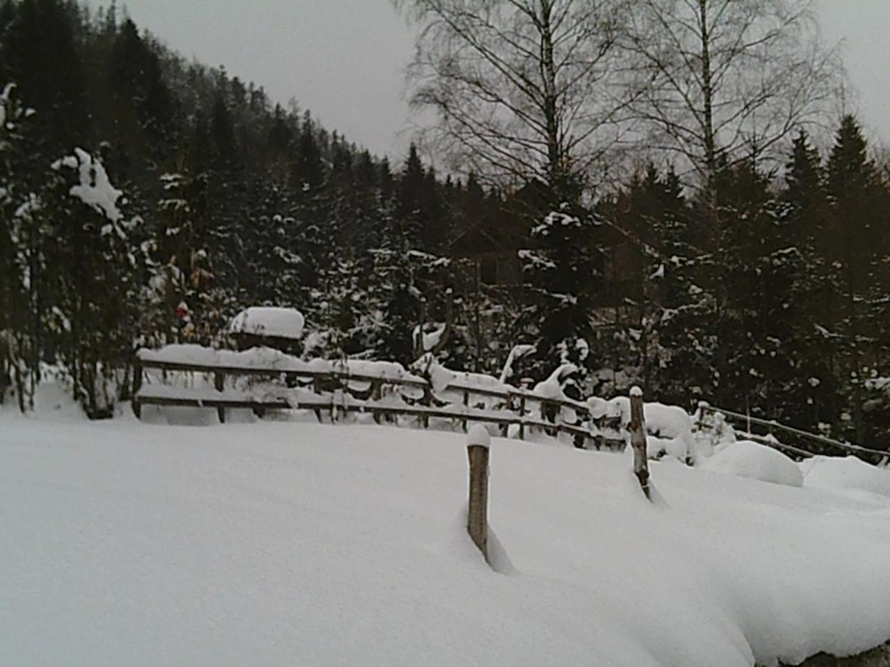 Georges Rast Villa Altaussee Dış mekan fotoğraf