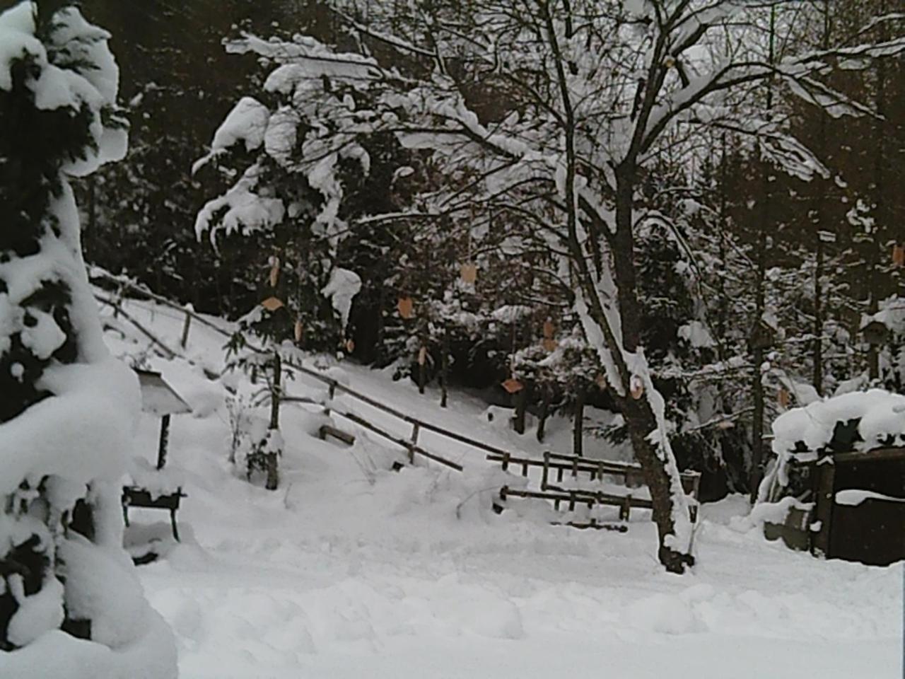 Georges Rast Villa Altaussee Dış mekan fotoğraf